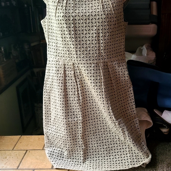 Calvin Klein black * Tan beautiful eyelet dress sz10p - Picture 9 of 9